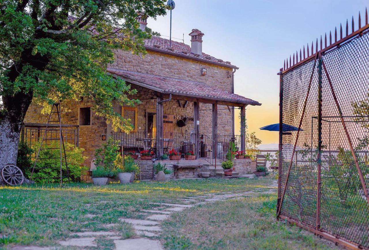 B&B Latordicella Castel del Rio Dış mekan fotoğraf