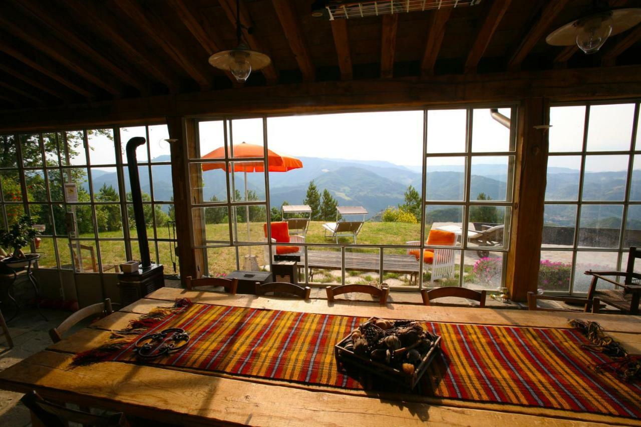 B&B Latordicella Castel del Rio Dış mekan fotoğraf