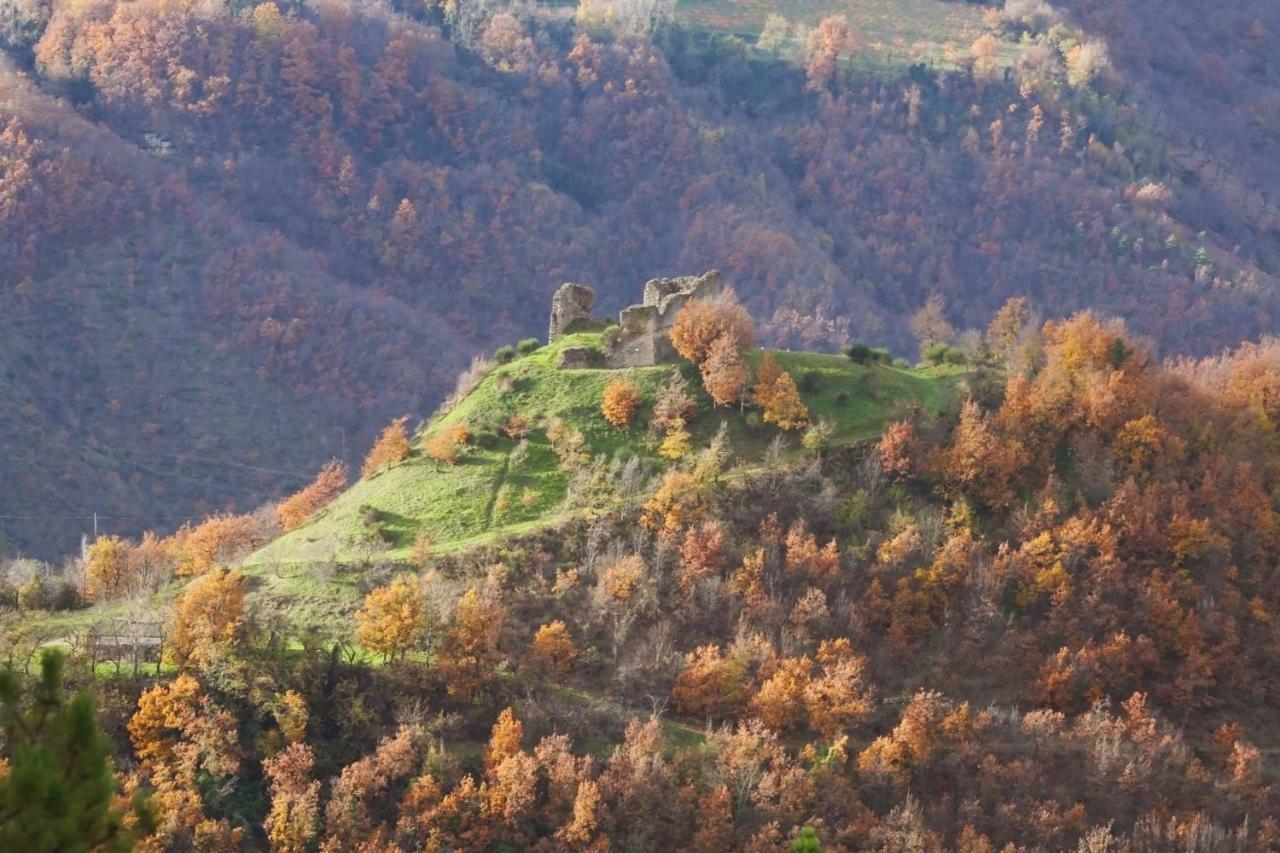 B&B Latordicella Castel del Rio Dış mekan fotoğraf